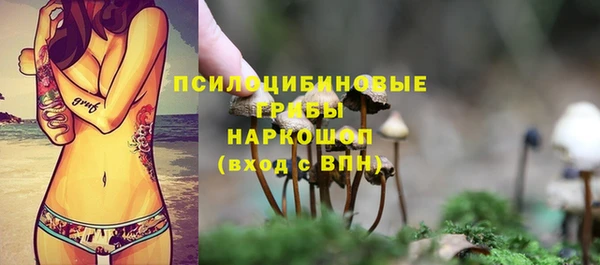 ешки Абаза