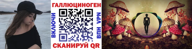 Галлюциногенные грибы мицелий Щучье
