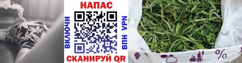 Шишки марихуана планчик  ОМГ ОМГ зеркало  Щучье 